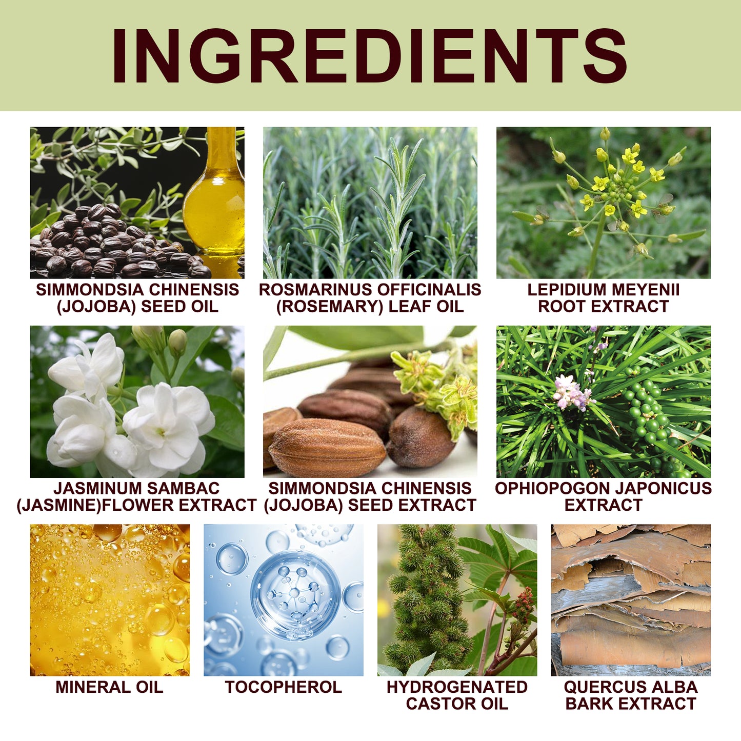 Harder Stronger, Private Massage Maintenance Care To Enhance Vitality And Moisturize Health Care